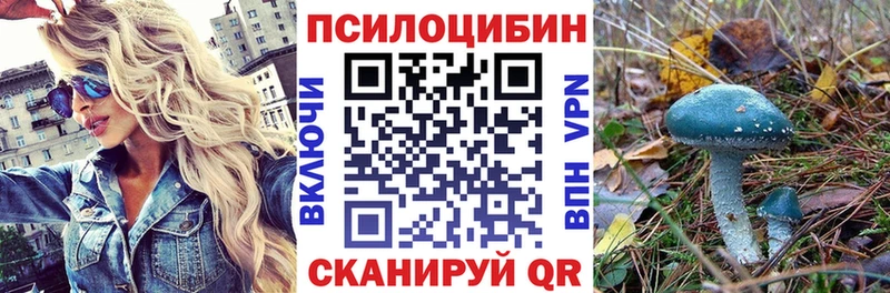 Галлюциногенные грибы Psilocybe Куртамыш