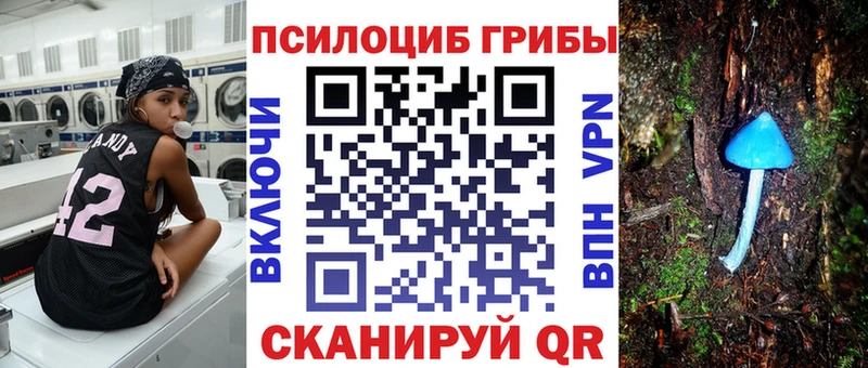 Псилоцибиновые грибы Psilocybine cubensis  закладка  гидра как войти  Куртамыш 