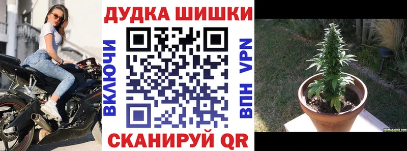 MEGA ссылка  Куртамыш  Бошки Шишки индика  купить закладку 